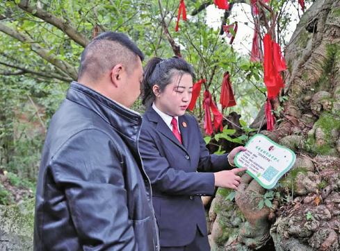 微信图片_20250318100050.png